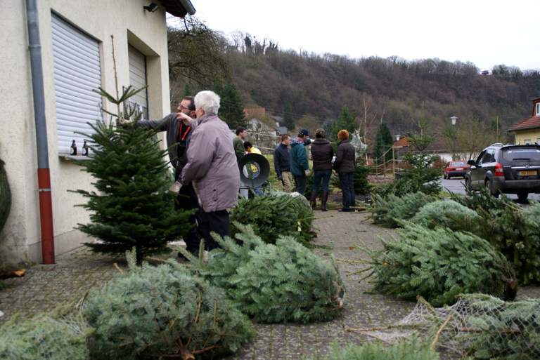 Weihnachtsbaumverkauf 2008 Bild Nr.029